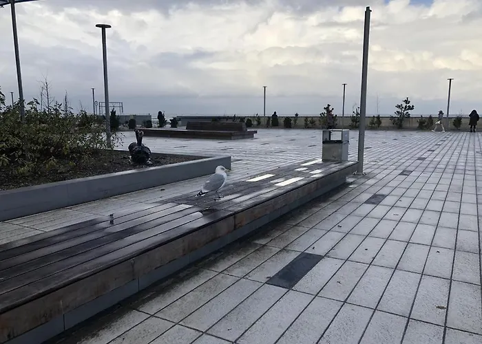 شقة Jacek كولوبرزيغ